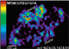 MSI of neuropeptide