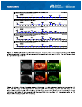 High Resolution Imaging