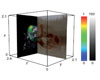 Coregistered MALDI IMS and magnetic resonance data from a whole mouse head