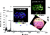 Imaging MALDI-MS data from hexb-/- mouse brain