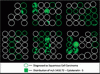 Ion density map of m/z 1410.70 showing an exclusive distribution to a subset of the squamous cell carcinoma biopsies.