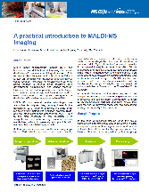 A practical introduction to MALDI-MS imaging