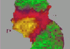 MALDI-TOF MS spectra obtained from pars distalis (green), pars intermedia (red) and pars neuralis (yellow) showing molecular diVerences between the histological regions