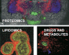 Label-free imaging mass spectrometry provides a new look into different research areas. Will chemical mass microscopy on a biological system move from hype to hope?