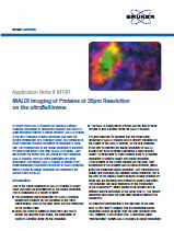 MALDI Imaging of Proteins at 20 μm Resolution on the ultrafleXtreme