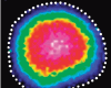 truncation product in the human lens AQP0 (1-246)