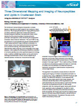 Three Dimensional Mapping and Imaging of Neuropeptides and Lipids in Crustacean Brain