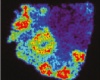 Moxifloxacin Distribution in Tuberculosis-Infected Rabbit Lung