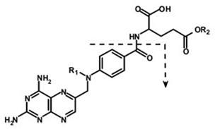 methotrexate