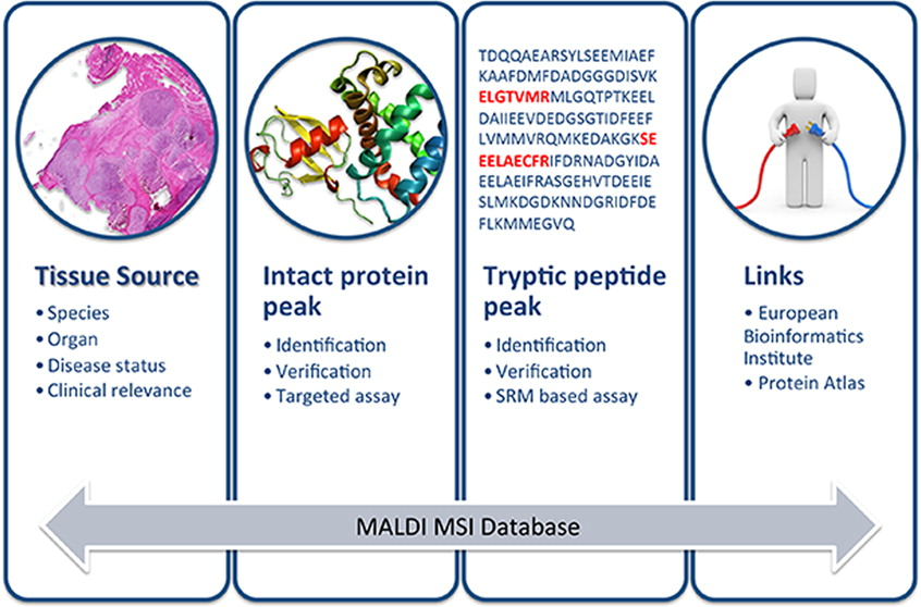 Graphical abstract