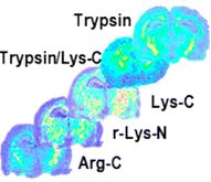 Heijs-et.al