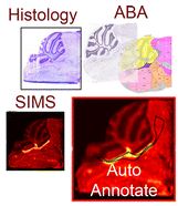 Graphical abstract